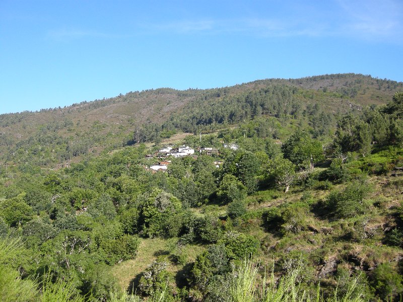 Doade-Rugando 245